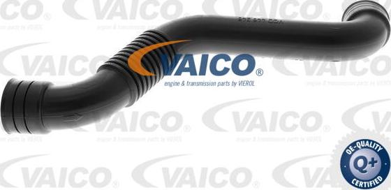 VAICO V10-6494 - Шланг, вентиляція картера autocars.com.ua