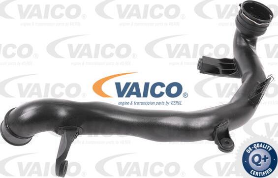 VAICO V10-6496 - Трубка нагнітається повітря autocars.com.ua