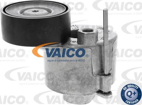 VAICO V10-6499 - Натяжитель, поликлиновый ремень avtokuzovplus.com.ua