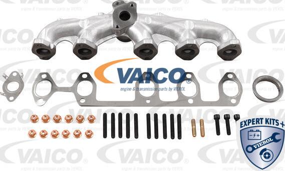 VAICO V10-6555 - Колектор, система випуску autocars.com.ua