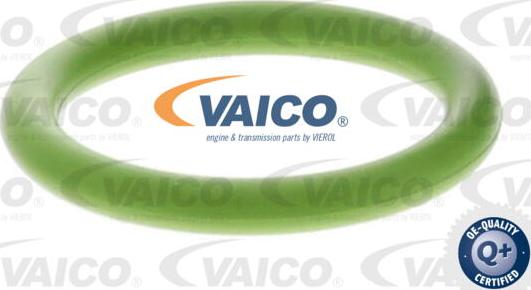 VAICO V10-6572 - Впускная труба, масляний насос autocars.com.ua