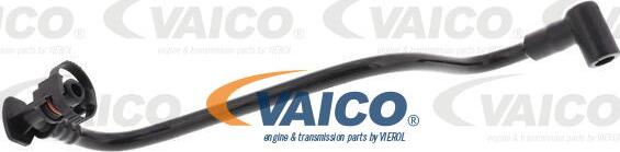 VAICO V10-6642 - Шланг, вентиляція картера autocars.com.ua