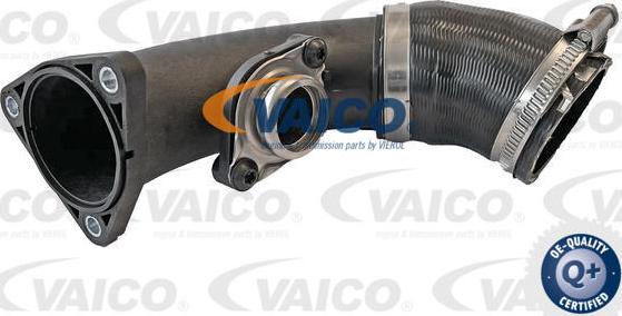VAICO V10-6737 - Трубка, нагнетание воздуха autodnr.net