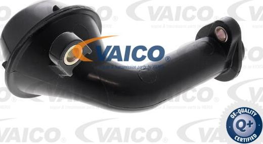 VAICO V10-6985 - Впускная труба, масляний насос autocars.com.ua