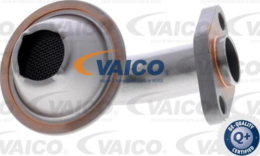 VAICO V10-6986 - Впускная труба, масляний насос autocars.com.ua