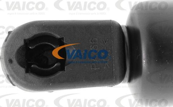 VAICO V10-7532 - Газовая пружина, упор avtokuzovplus.com.ua