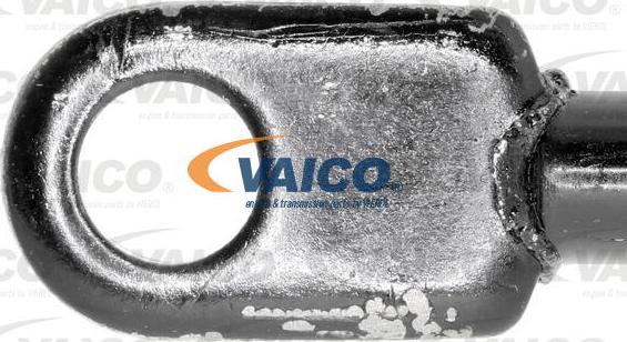 VAICO V10-7534 - Газовая пружина, упор avtokuzovplus.com.ua