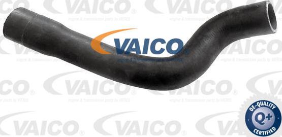 VAICO V10-7556 - Шланг радіатора autocars.com.ua