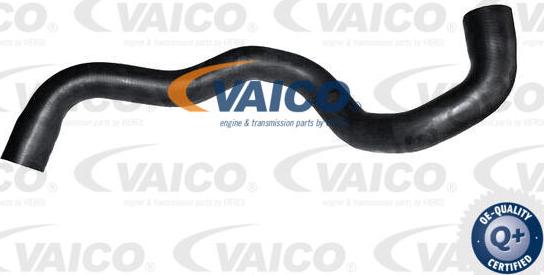 VAICO V10-7562 - Шланг радіатора autocars.com.ua