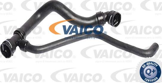 VAICO V10-7567 - Шланг радіатора autocars.com.ua