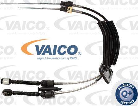 VAICO V10-8063 - Трос, ступінчаста коробка передач autocars.com.ua