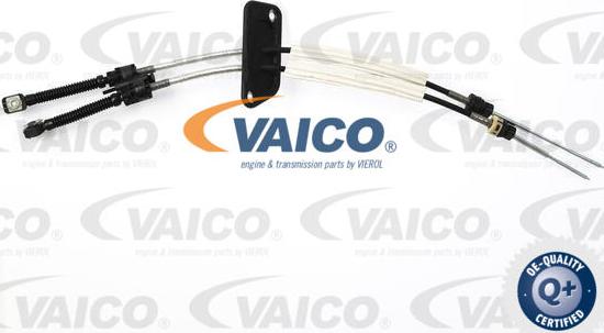 VAICO V10-8065 - Трос, ступінчаста коробка передач autocars.com.ua
