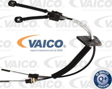 VAICO V10-8066 - Трос, ступінчаста коробка передач autocars.com.ua