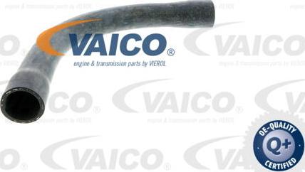 VAICO V20-0147 - Шланг радиатора avtokuzovplus.com.ua