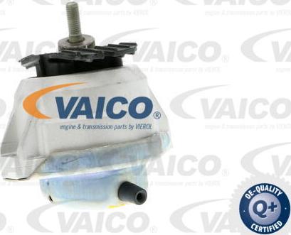 VAICO V20-0497 - Подушка, опора, подвеска двигателя avtokuzovplus.com.ua