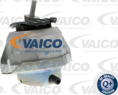 VAICO V20-0498 - Подушка, опора, подвеска двигателя avtokuzovplus.com.ua