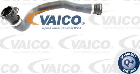 VAICO V20-0873 - Шланг радіатора autocars.com.ua