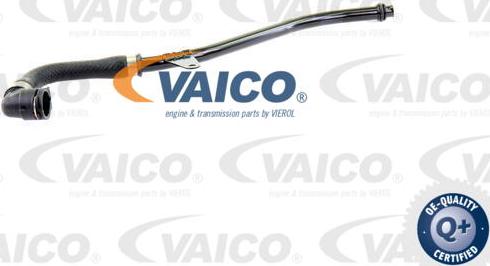 VAICO V20-0879 - Шланг радиатора avtokuzovplus.com.ua