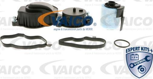 VAICO V20-0954 - Клапан, відведення повітря з картера autocars.com.ua