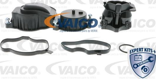 VAICO V20-0957 - Клапан, відведення повітря з картера autocars.com.ua