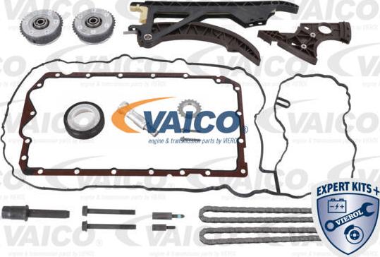VAICO V20-10020 - Комплект ланцюга приводу распредвала autocars.com.ua