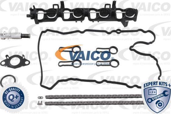 VAICO V20-10024 - Комплект ланцюга приводу распредвала autocars.com.ua