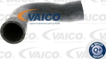 VAICO V20-1250 - Шланг радиатора avtokuzovplus.com.ua