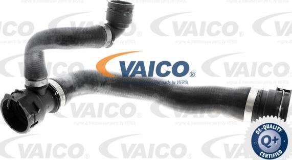 VAICO V20-1284 - Шланг радиатора avtokuzovplus.com.ua