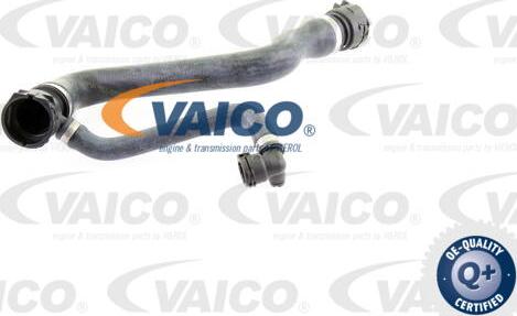 VAICO V20-1295 - Шланг радиатора avtokuzovplus.com.ua