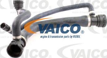 VAICO V20-1299 - Шланг радиатора avtokuzovplus.com.ua