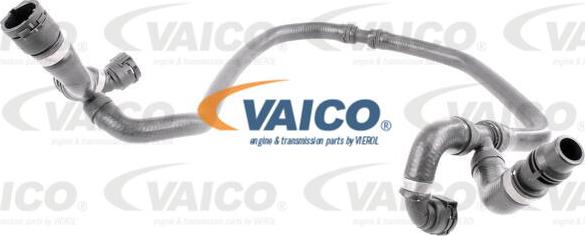 VAICO V20-1304 - Шланг радиатора avtokuzovplus.com.ua