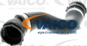 VAICO V20-1314 - Шланг радиатора avtokuzovplus.com.ua