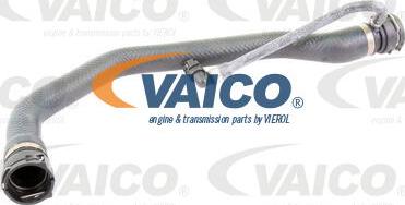 VAICO V20-1325 - Шланг радіатора autocars.com.ua