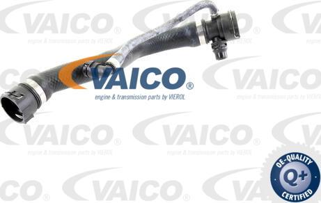 VAICO V20-1335 - Шланг радиатора avtokuzovplus.com.ua