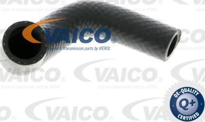 VAICO V20-1348 - Шланг радіатора autocars.com.ua