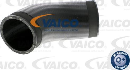 VAICO V20-1614 - Трубка, нагнетание воздуха avtokuzovplus.com.ua