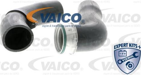 VAICO V20-1615 - Трубка, нагнетание воздуха avtokuzovplus.com.ua