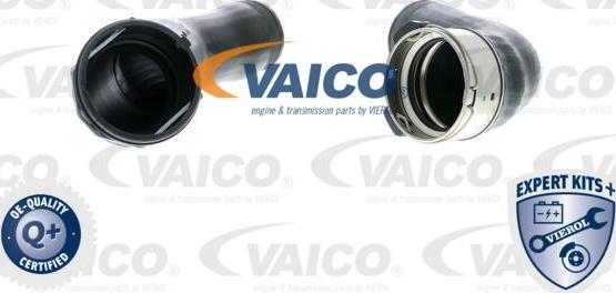 VAICO V20-1616 - Трубка нагнітається повітря autocars.com.ua