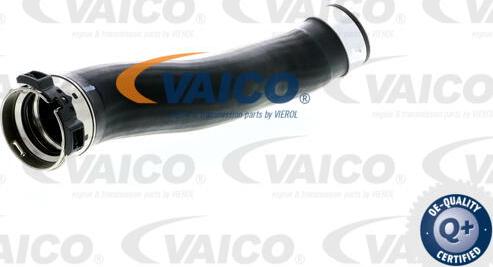 VAICO V20-1618 - Трубка, нагнетание воздуха avtokuzovplus.com.ua