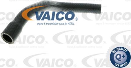 VAICO V20-1649 - Шланг радіатора autocars.com.ua
