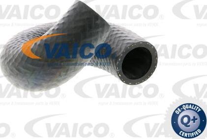VAICO V20-1697 - Шланг радіатора autocars.com.ua