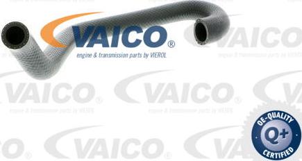 VAICO V20-1701 - Шланг радіатора autocars.com.ua