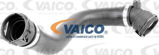 VAICO V20-2164 - Шланг радіатора autocars.com.ua