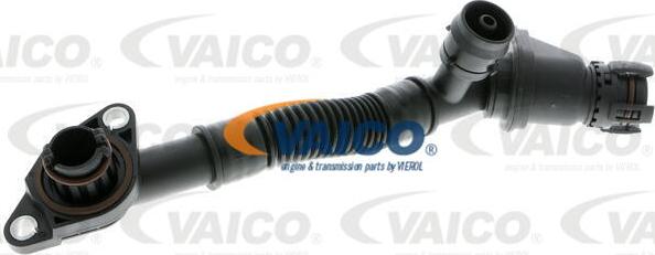 VAICO V20-2329 - Шланг, вентиляція картера autocars.com.ua