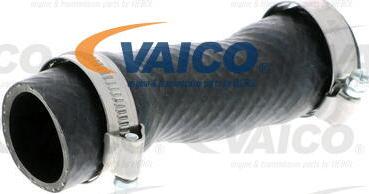 VAICO V20-2461 - Шланг радіатора autocars.com.ua