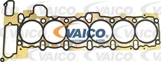 VAICO V20-2551 - Прокладка, головка цилиндра avtokuzovplus.com.ua