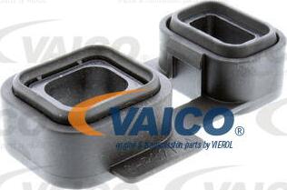 VAICO V20-3770-XXL - Комплект прокладок, автоматическая коробка avtokuzovplus.com.ua
