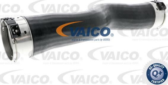VAICO V20-2724 - Трубка, нагнетание воздуха avtokuzovplus.com.ua