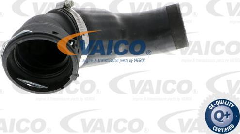 VAICO V20-2969 - Трубка, нагнетание воздуха avtokuzovplus.com.ua