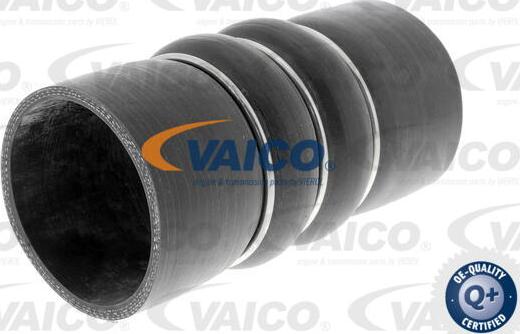 VAICO V20-2993 - Трубка, нагнетание воздуха avtokuzovplus.com.ua